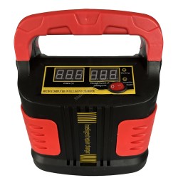 Зарядний пристрій для АКБ WesunWell XX-005/010