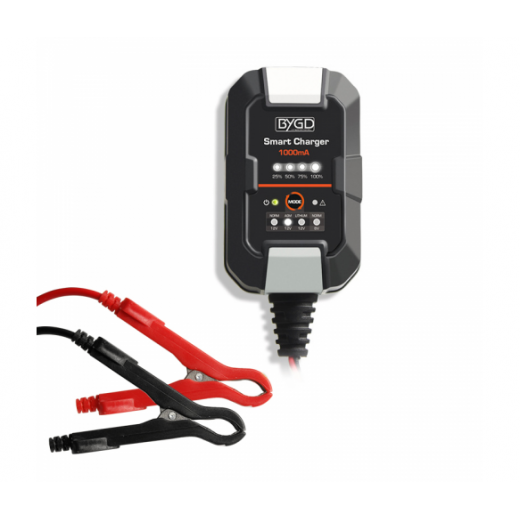 Зарядное MERLION-BYGD 6V/12V 1А - описания, отзывы, подробная характеристика 