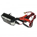 Зарядное MERLION-BYGD 6V/12V 1А - описания, отзывы, подробная характеристика 