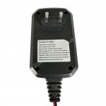 Зарядное MERLION-BYGD 6V/12V 1А - описания, отзывы, подробная характеристика 